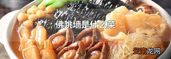 佛跳墙是什么菜
