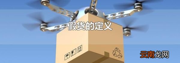 假货的定义