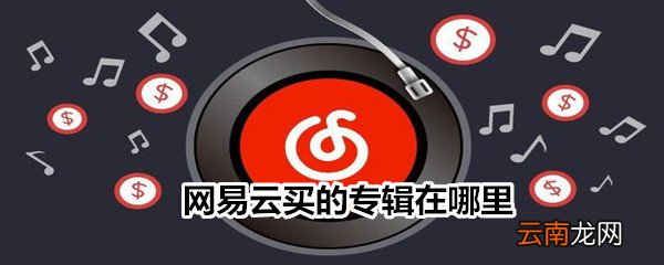 网易云买的专辑在哪里