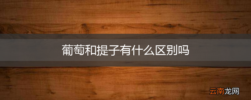 葡萄和提子有什么区别吗
