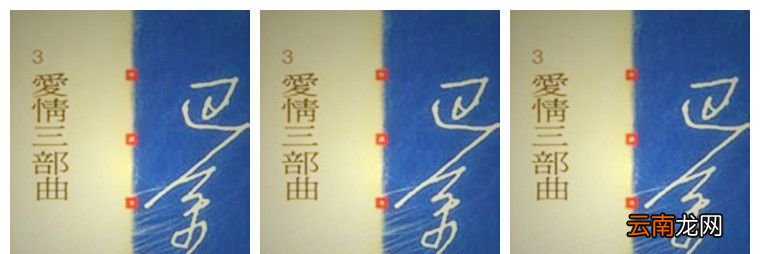 巴金的爱情三部曲指哪三部作品?