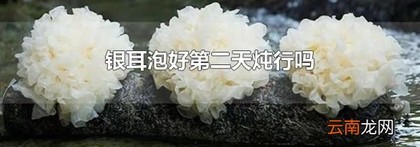 银耳泡好第二天炖行吗