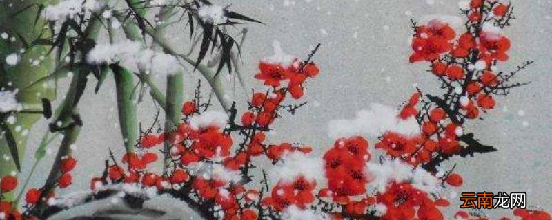 岁寒三友是哪三个