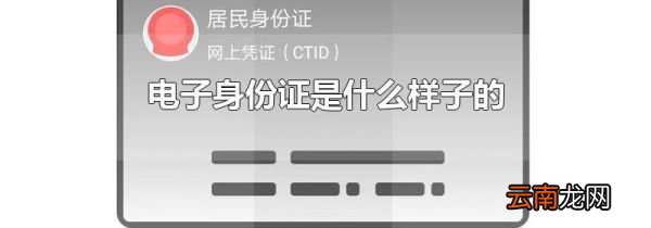 电子身份证是什么样子的
