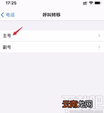 iphone手机设置呼叫转移的方法