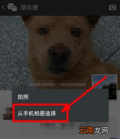 微信朋友圈如何转发？朋友圈内容转发方法介绍