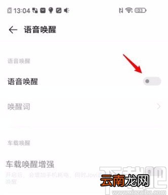 vivo手机设置语音唤醒功能的方法