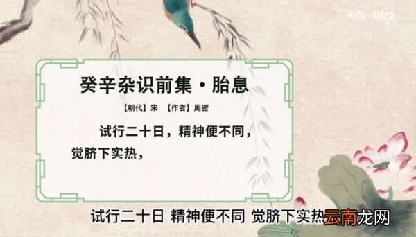 轻快的意思 轻快是什么意思