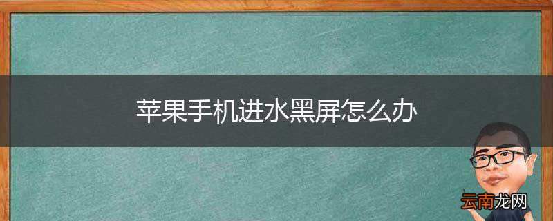 苹果手机进水黑屏怎么办