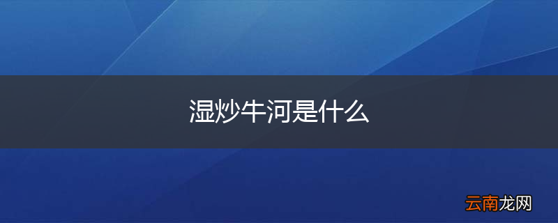 湿炒牛河是什么