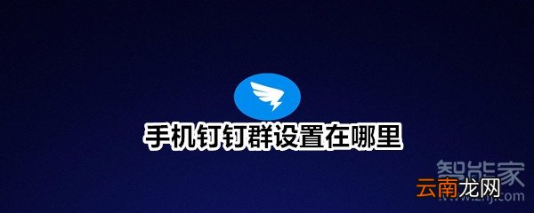 手机钉钉群设置在哪里