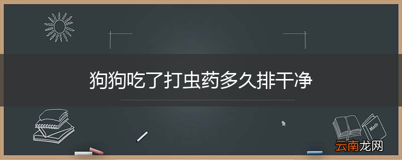 狗狗吃了打虫药多久排干净