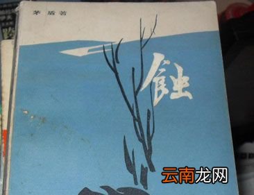 茅盾的“蚀”三部曲指哪三部作品？