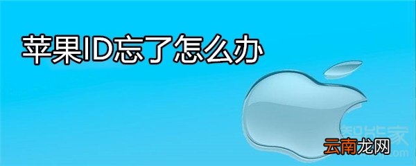 苹果ID忘了怎么办