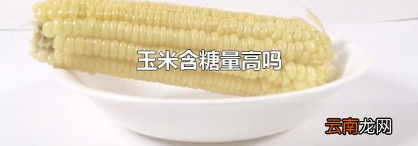 玉米含糖量高吗