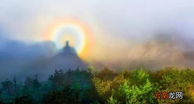 泰山四大奇观是指什么？
