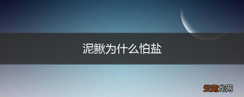 泥鳅为什么怕盐