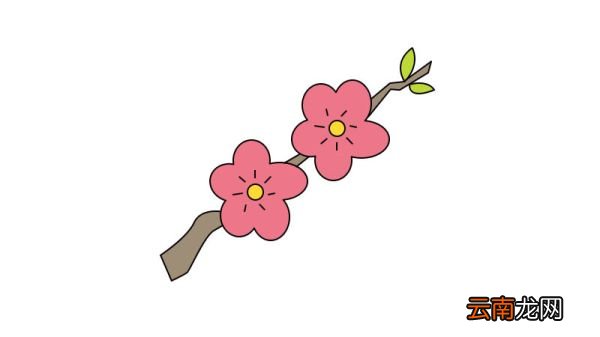 梅花简笔画 梅花简笔画步骤