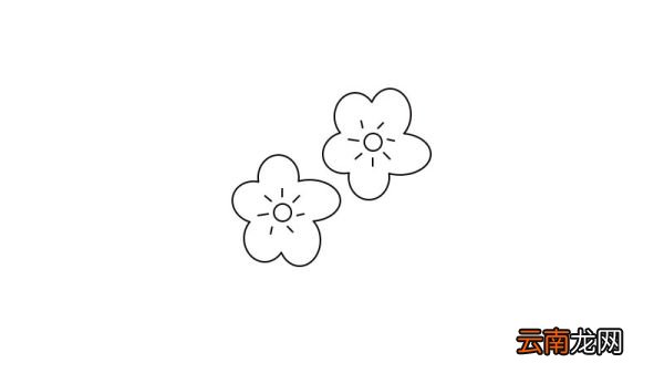 梅花简笔画 梅花简笔画步骤