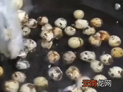 鹌鹑蛋怎样才好剥皮