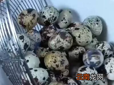 鹌鹑蛋怎样才好剥皮