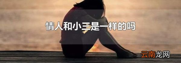 情人和小三是一样的吗