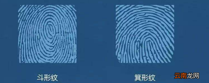 斗型花纹是什么