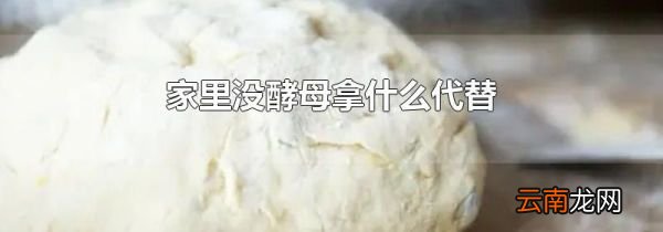 家里没酵母拿什么代替