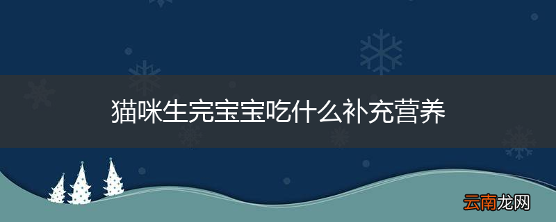 猫咪生完宝宝吃什么补充营养