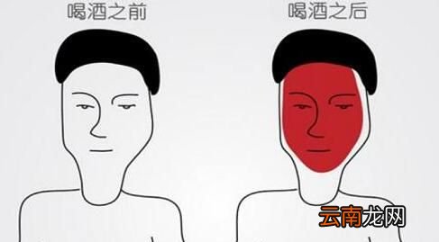 喝酒脸红的人酒量好，是真的吗？