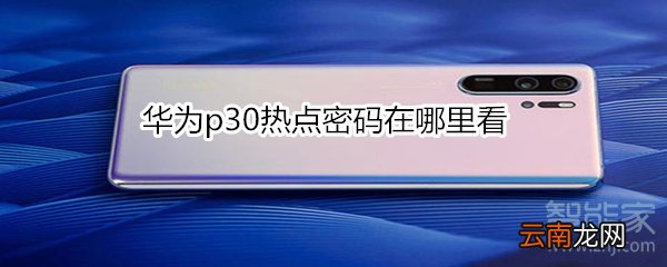 华为p30热点密码在哪里看