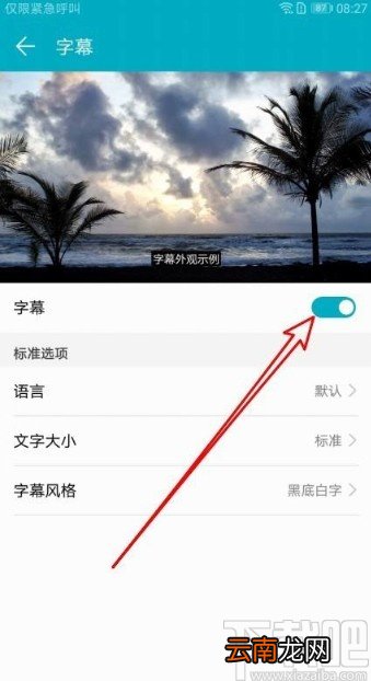 华为荣耀9X打开字幕功能的方法