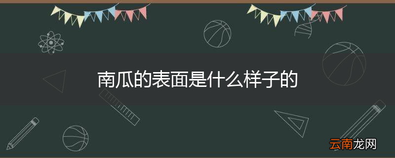 南瓜的表面是什么样子的