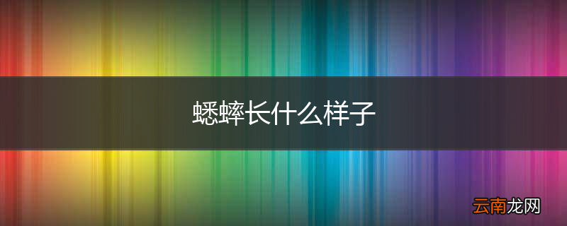 蟋蟀长什么样子