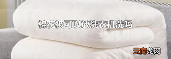 棉花被可以放洗衣机洗吗