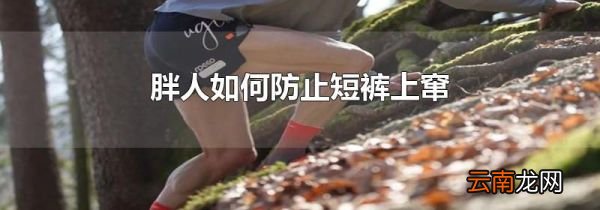 胖人如何防止短裤上窜