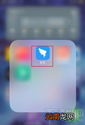 钉钉app设置工作状态的方法
