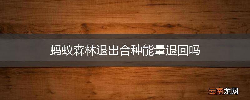 蚂蚁森林退出合种能量退回吗