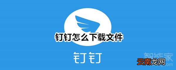钉钉怎么下载文件