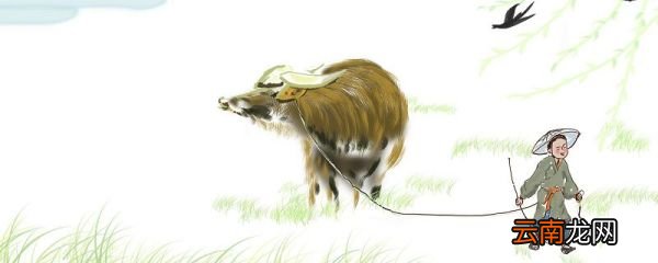 书戴嵩画牛文言文翻译 书戴嵩画牛翻译简短