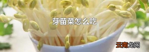 芽苗菜怎么吃