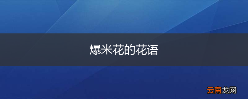 爆米花的花语
