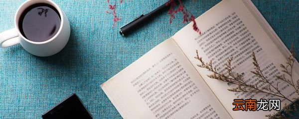 关于书的成语 表示和书有关的成语