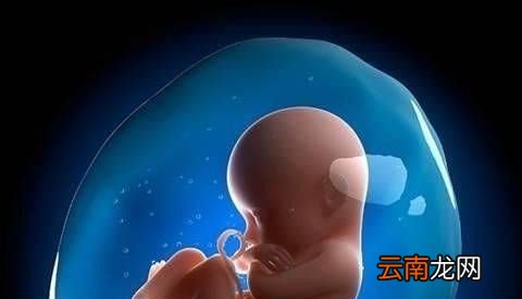 羊水为什么叫羊水？