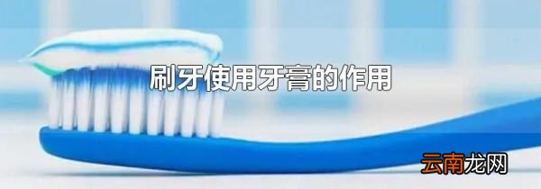 刷牙使用牙膏的作用