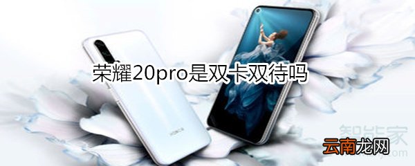 荣耀20pro是双卡双待吗