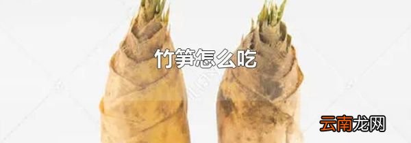 竹笋怎么吃