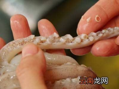 鱿鱼须外面紫色皮怎么去掉