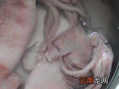 鱿鱼须外面紫色皮怎么去掉