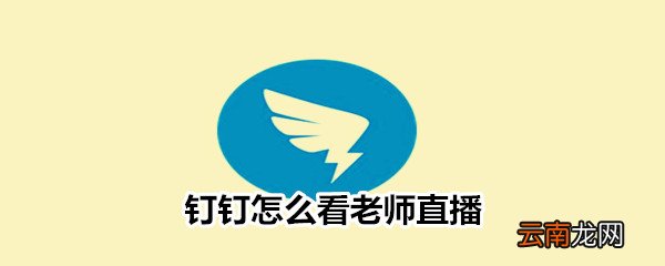 钉钉怎么看老师直播